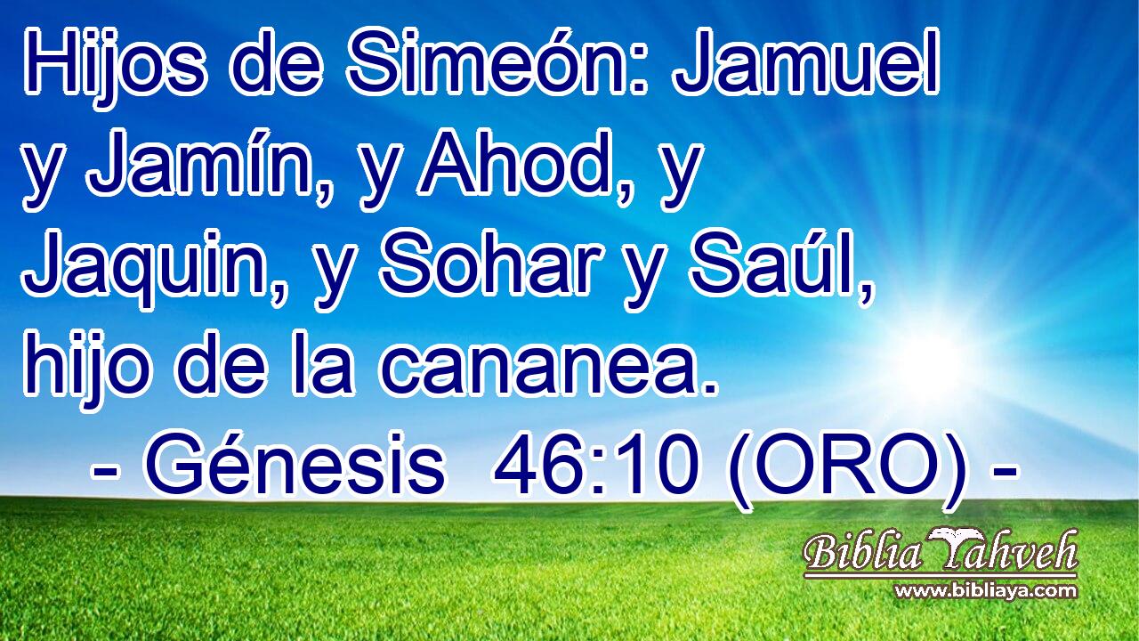  Hijos de Simeón: Jamuel y Jamín, y Ahod, y Jaquin, y Sohar y Saúl, hijo de la cananea. 