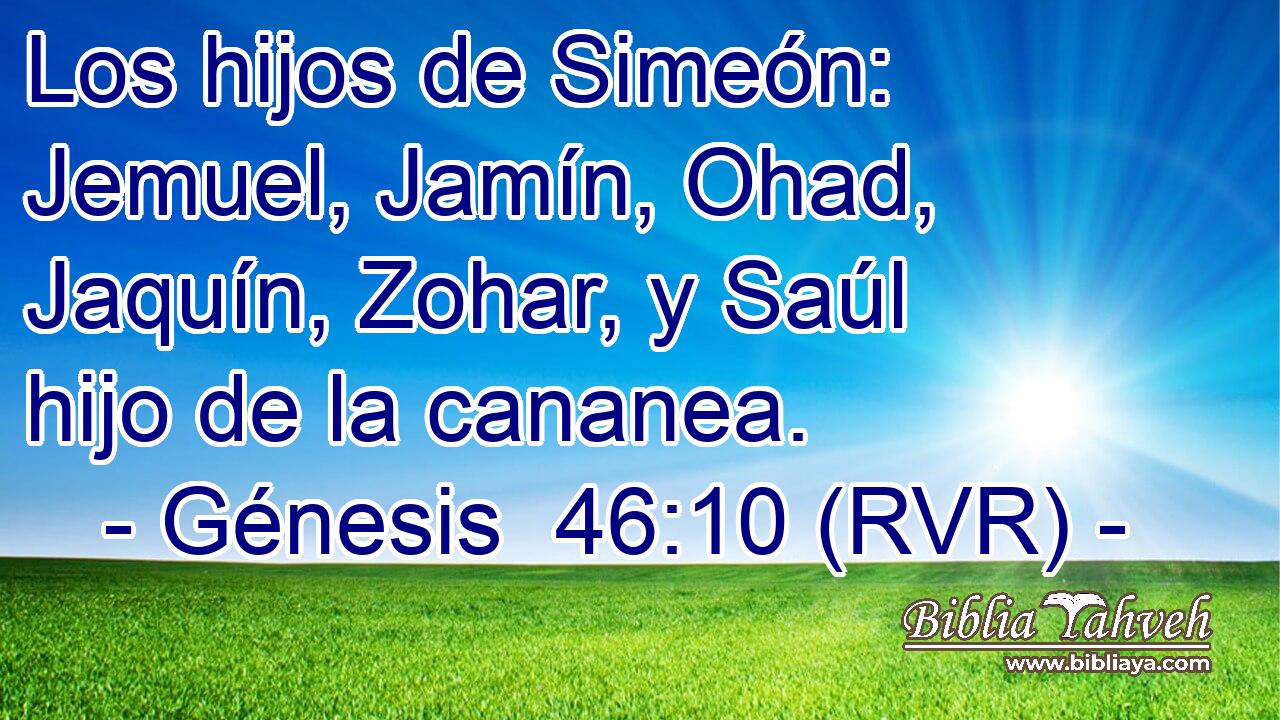 Los hijos de Simeón: Jemuel, Jamín, Ohad, Jaquín, Zohar, y Saúl hijo de la cananea.