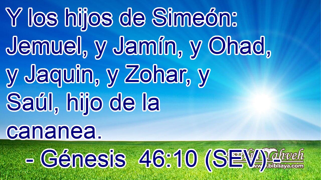 Y los hijos de Simeón: Jemuel, y Jamín, y Ohad, y Jaquin, y Zohar, y Saúl, hijo de la cananea.