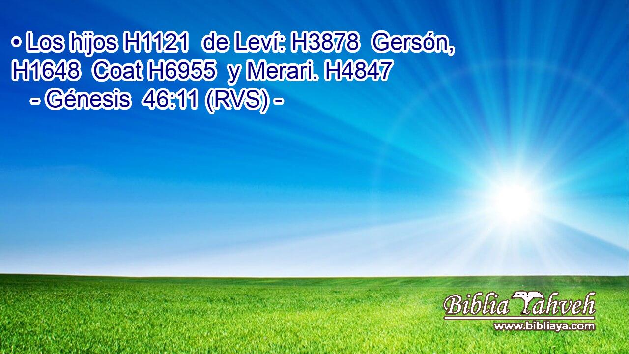 • Los hijos H1121  de Leví: H3878  Gersón, H1648  Coat H6955  y Merari. H4847  