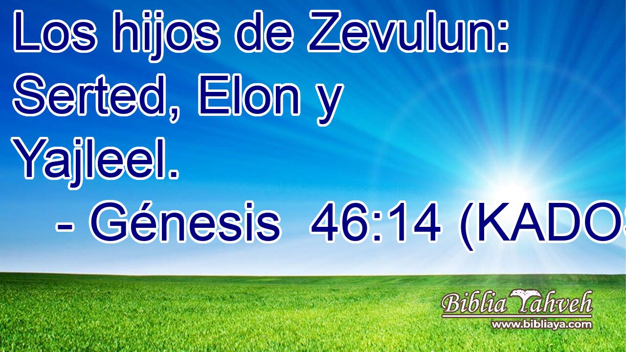 Los hijos de Zevulun: Serted, Elon y Yajleel. 