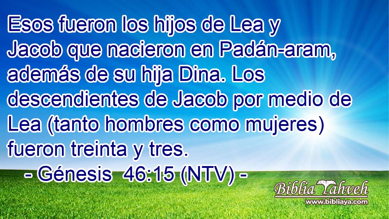 Esos fueron los hijos de Lea y Jacob que nacieron en Padán-aram, además de su hija Dina. Los descendientes de Jacob por medio de Lea (tanto hombres como mujeres) fueron treinta y tres.