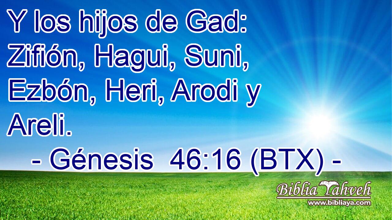 Y los hijos de Gad: Zifión, Hagui, Suni, Ezbón, Heri, Arodi y Areli.