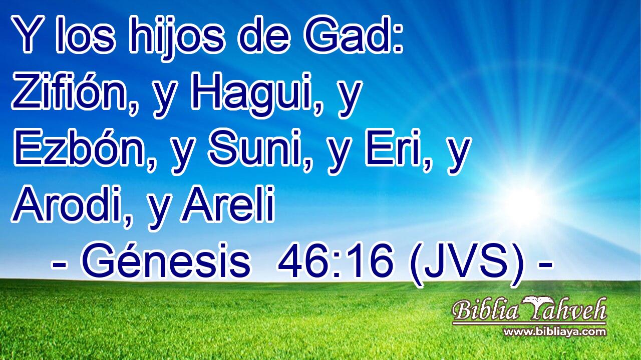 Y los hijos de Gad: Zifión, y Hagui, y Ezbón, y Suni, y Eri, y Arodi, y Areli