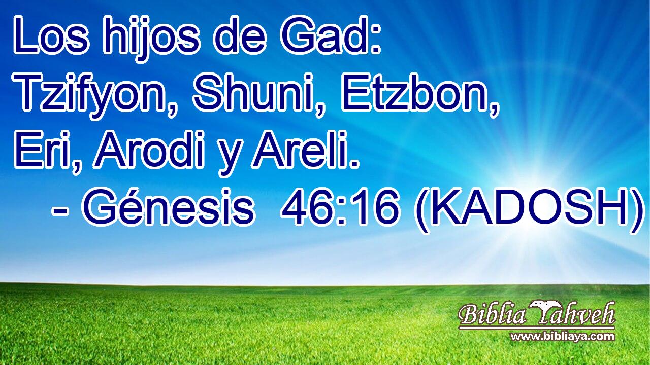  Los hijos de Gad: Tzifyon, Shuni, Etzbon, Eri, Arodi y Areli. 