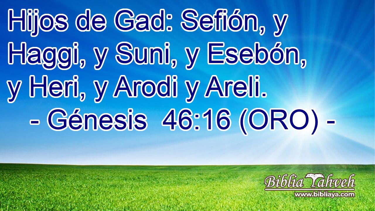  Hijos de Gad: Sefión, y Haggi, y Suni, y Esebón, y Heri, y Arodi y Areli. 