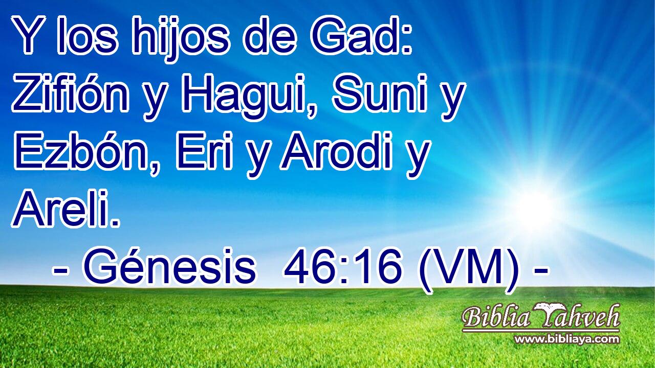  Y los hijos de Gad: Zifión y Hagui, Suni y Ezbón, Eri y Arodi y Areli. 