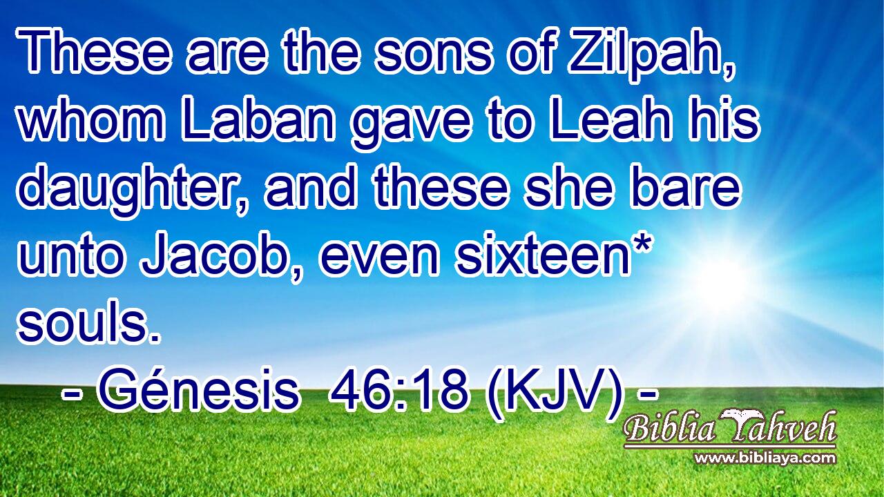 These are the sons of Zilpah, whom Laban gave to Leah his daughter, and these she bare unto Jacob, even sixteen* souls.