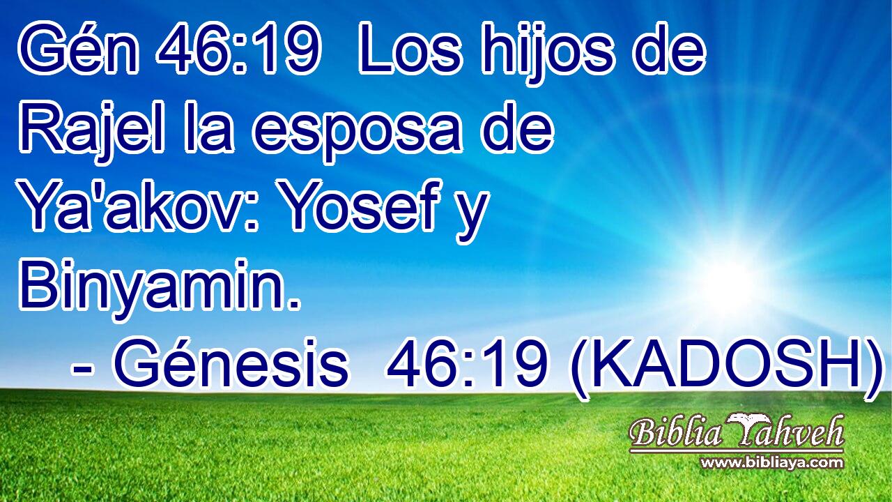  Los hijos de Rajel la esposa de Ya'akov: Yosef y Binyamin. 