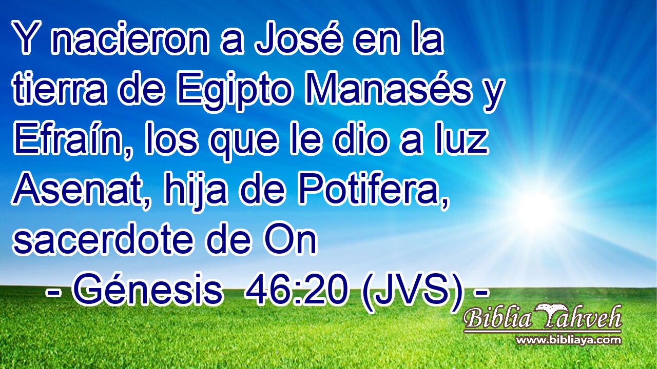 Y nacieron a José en la tierra de Egipto Manasés y Efraín, los que le dio a luz Asenat, hija de Potifera, sacerdote de On