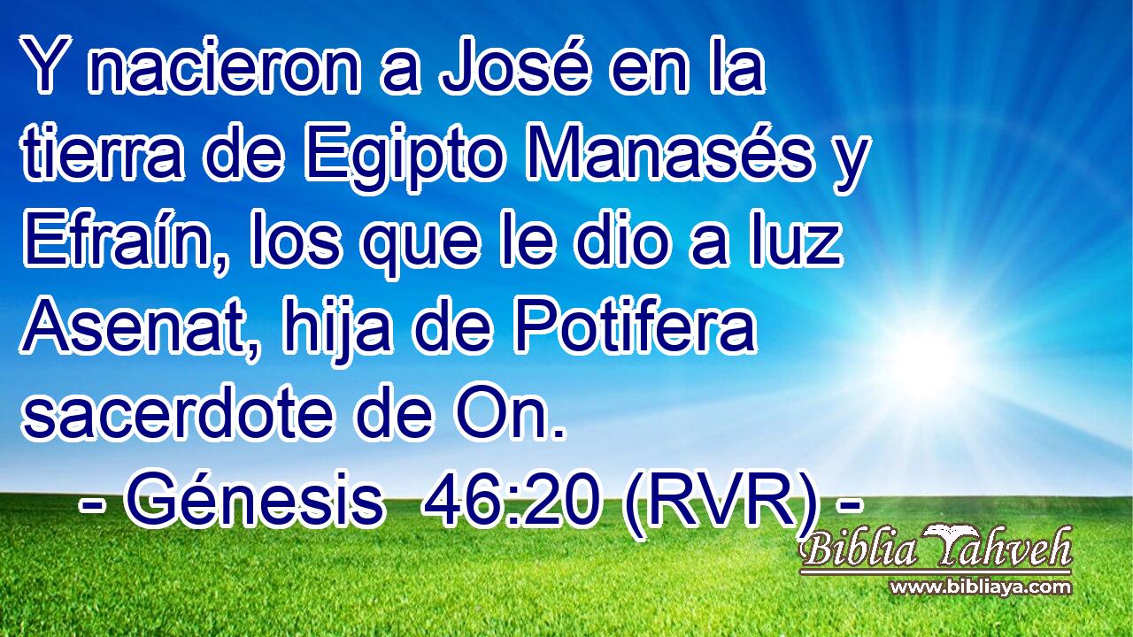 Y nacieron a José en la tierra de Egipto Manasés y Efraín, los que le dio a luz Asenat, hija de Potifera sacerdote de On.