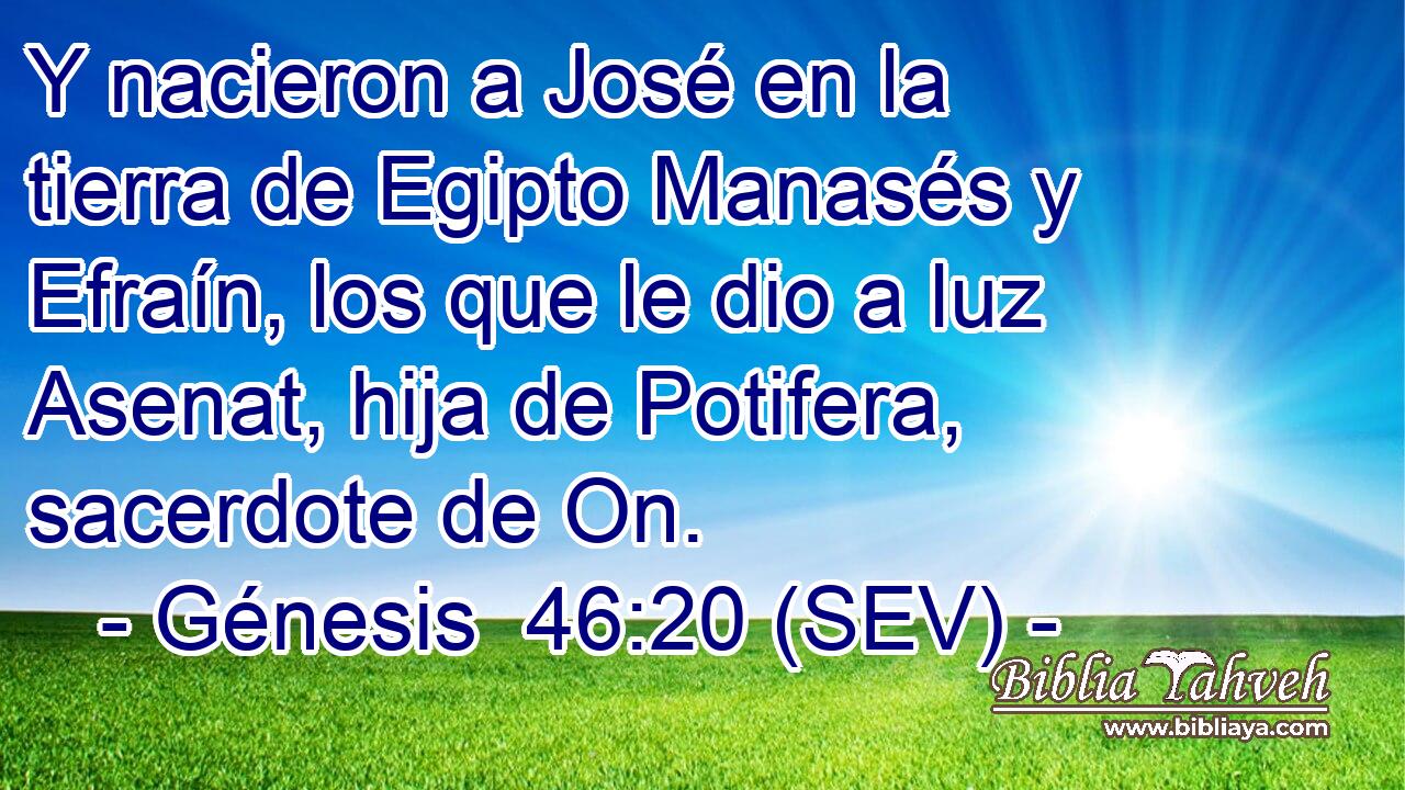 Y nacieron a José en la tierra de Egipto Manasés y Efraín, los que le dio a luz Asenat, hija de Potifera, sacerdote de On.