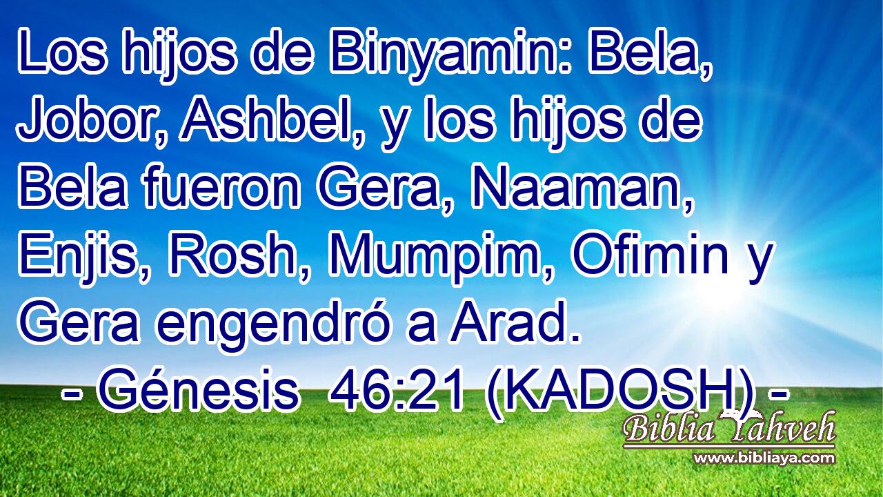  Los hijos de Binyamin: Bela, Jobor, Ashbel, y los hijos de Bela fueron Gera, Naaman, Enjis, Rosh, Mumpim, Ofimin y Gera engendró a Arad. 