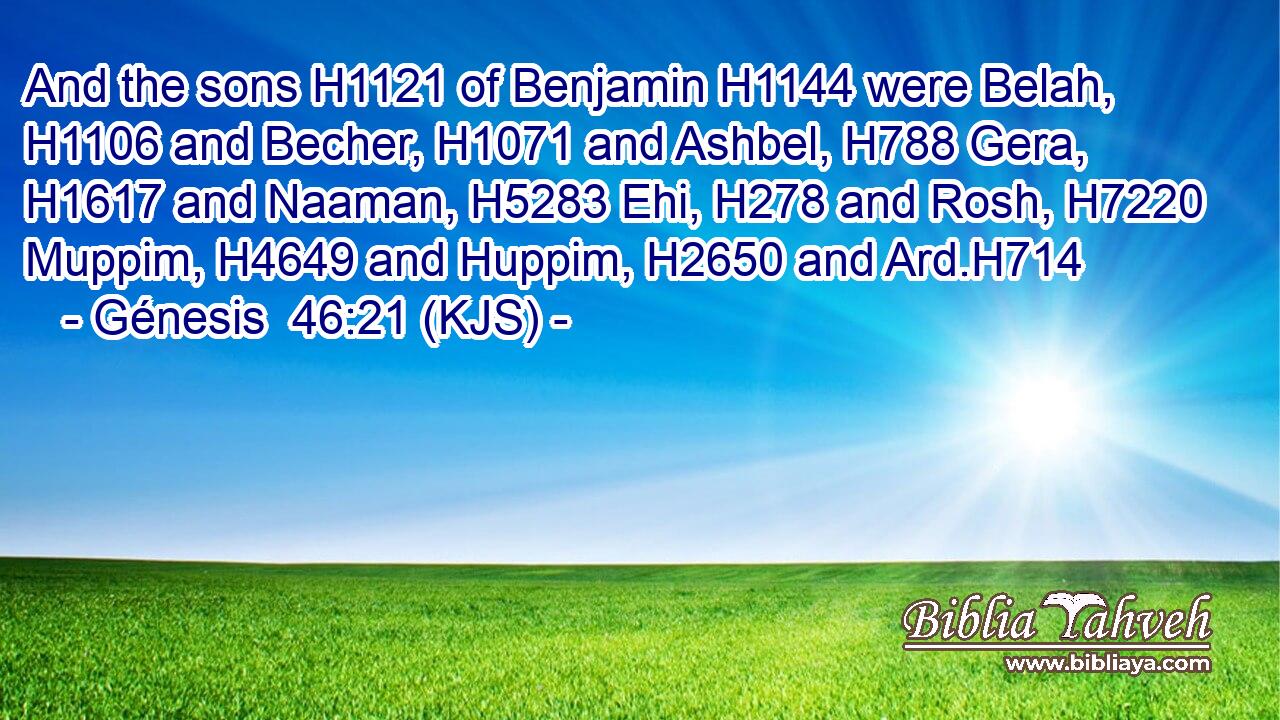 And the sons H1121 of Benjamin H1144 were Belah, H1106 and Becher, H1071 and Ashbel, H788 Gera, H1617 and Naaman, H5283 Ehi, H278 and Rosh, H7220 Muppim, H4649 and Huppim, H2650 and Ard.H714