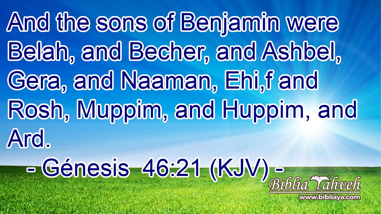 And the sons of Benjamin were Belah, and Becher, and Ashbel, Gera, and Naaman, Ehi,f and Rosh, Muppim, and Huppim, and Ard.