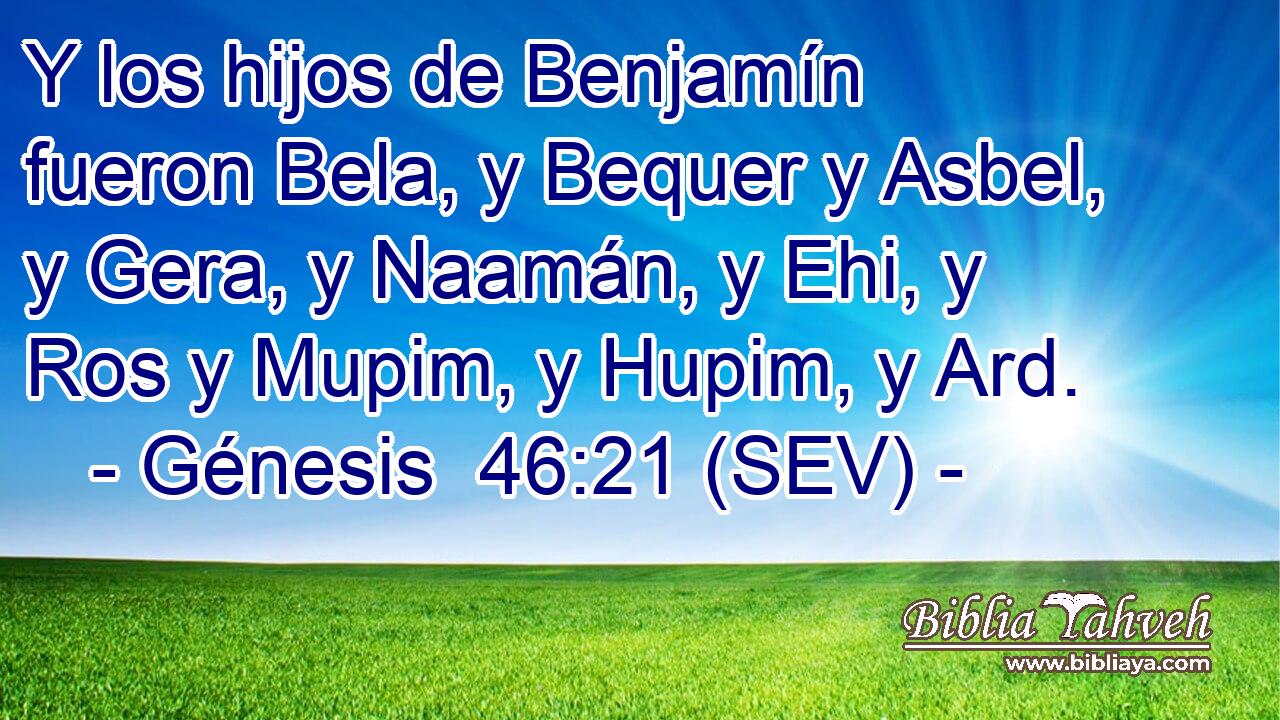 Y los hijos de Benjamín fueron Bela, y Bequer y Asbel, y Gera, y Naamán, y Ehi, y Ros y Mupim, y Hupim, y Ard.