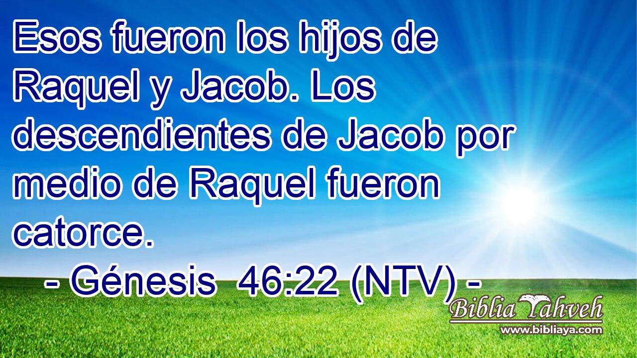 Esos fueron los hijos de Raquel y Jacob. Los descendientes de Jacob por medio de Raquel fueron catorce.
