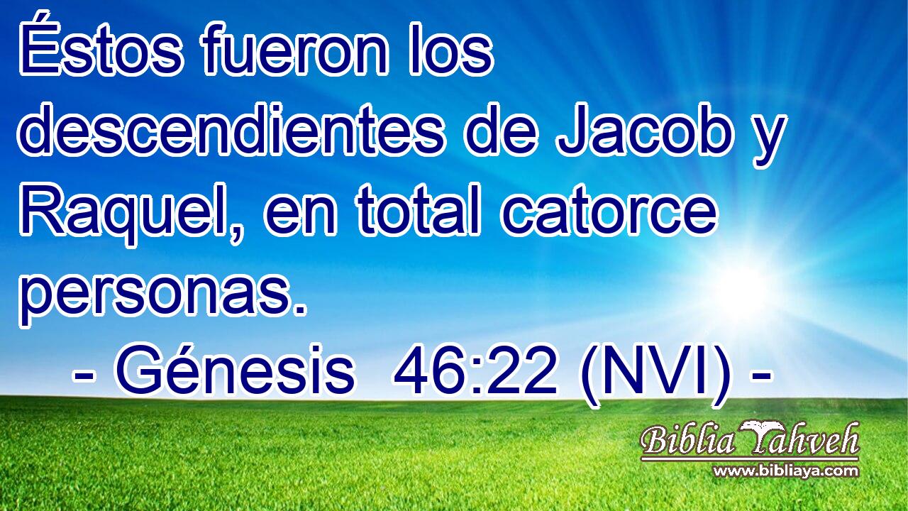  Éstos fueron los descendientes de Jacob y Raquel, en total catorce personas. 