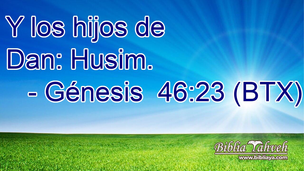 Y los hijos de Dan: Husim.