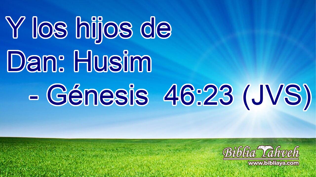 Y los hijos de Dan: Husim