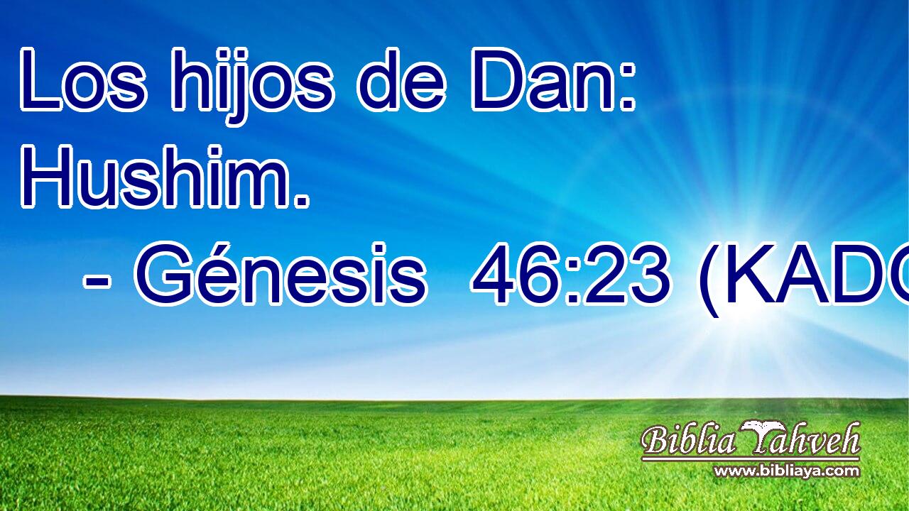  Los hijos de Dan: Hushim. 