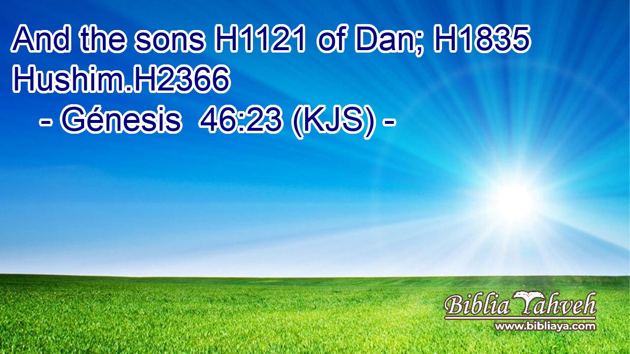 And the sons H1121 of Dan; H1835 Hushim.H2366