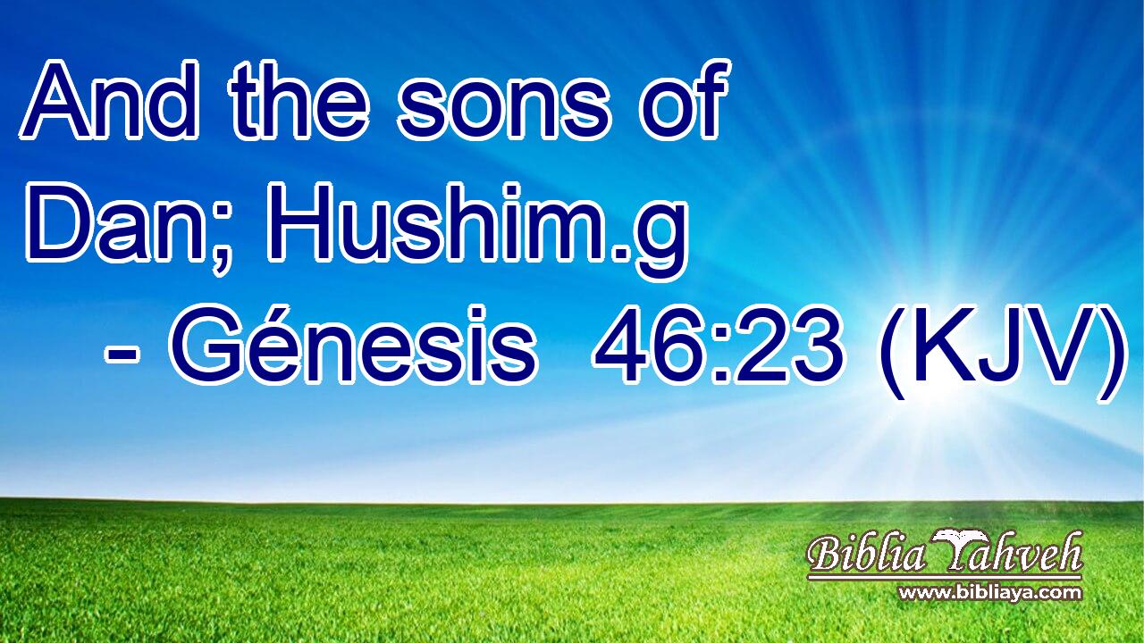 And the sons of Dan; Hushim.g