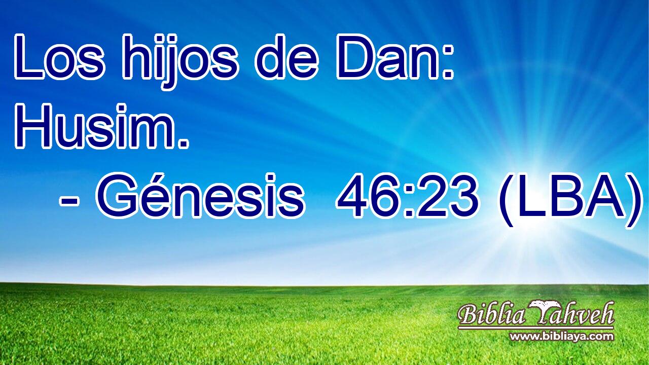Los hijos de Dan: Husim.