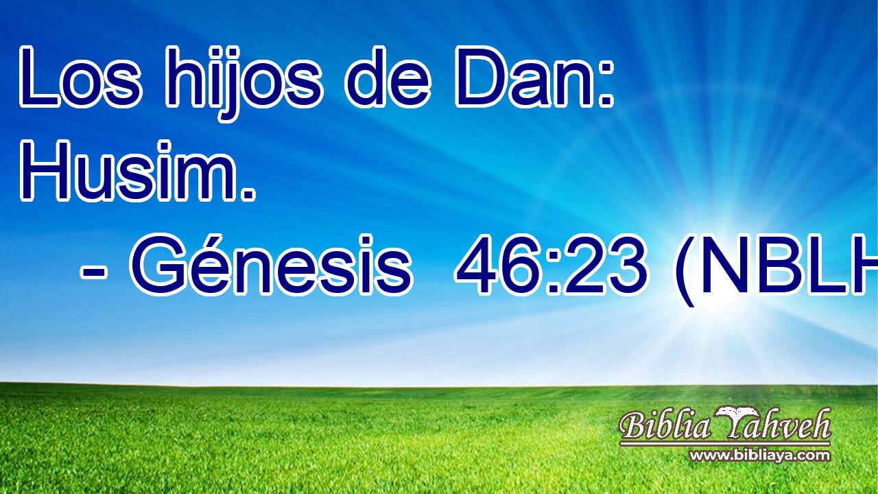  Los hijos de Dan: Husim. 