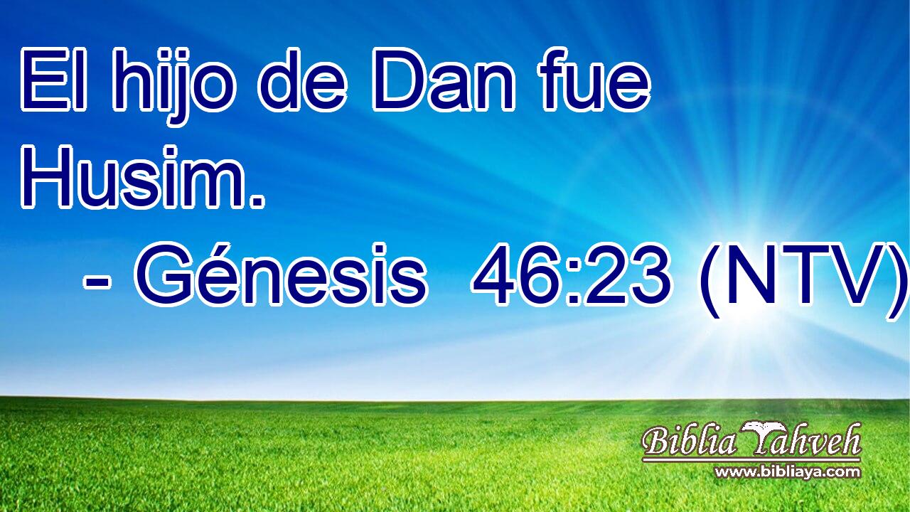 El hijo de Dan fue Husim.