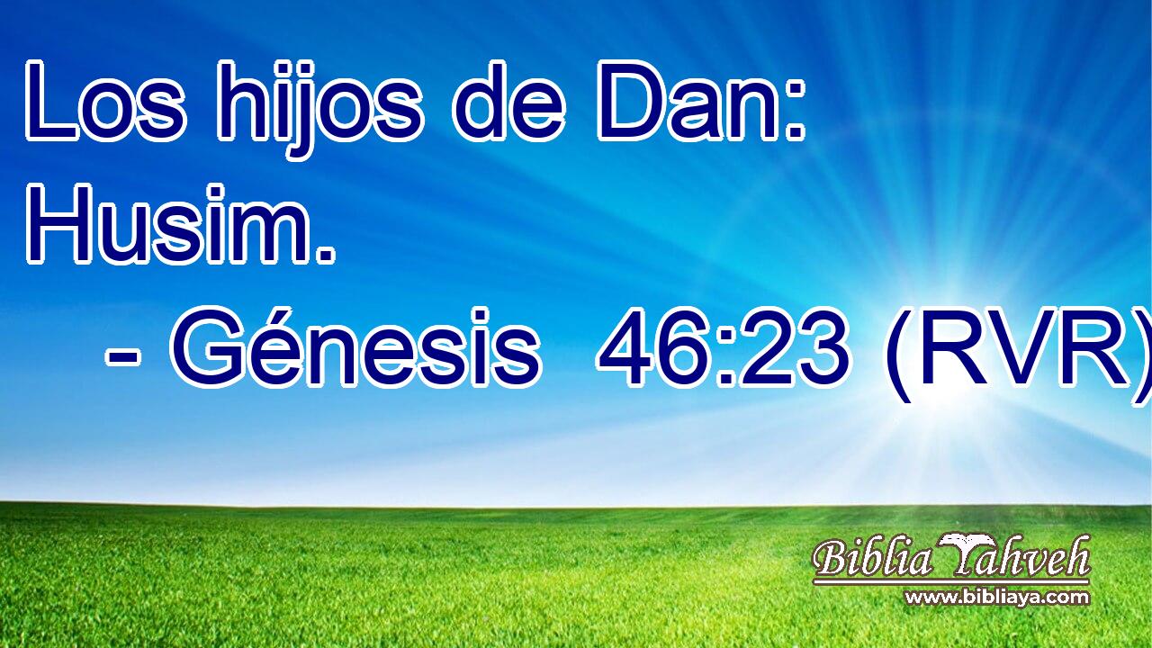 Los hijos de Dan: Husim.