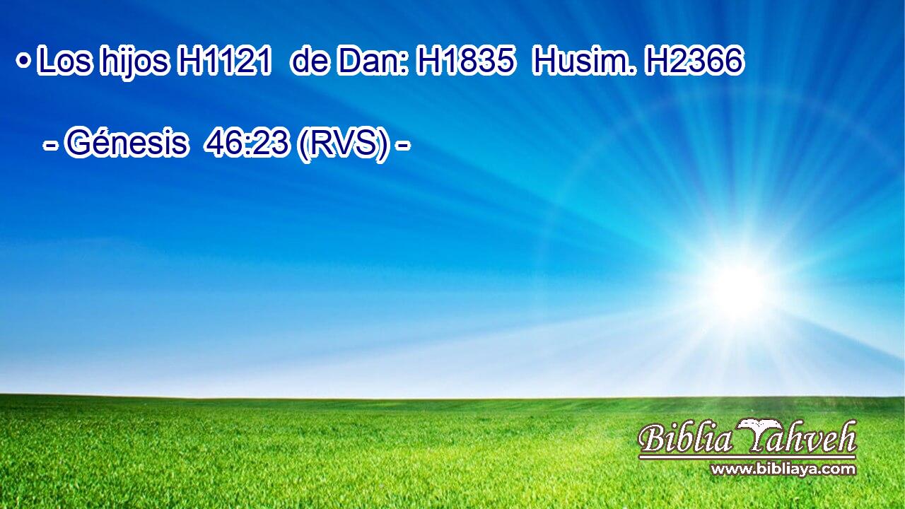 • Los hijos H1121  de Dan: H1835  Husim. H2366  