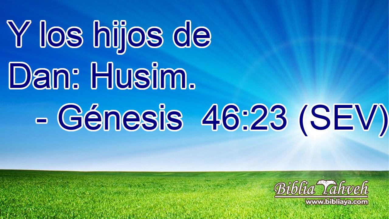 Y los hijos de Dan: Husim.