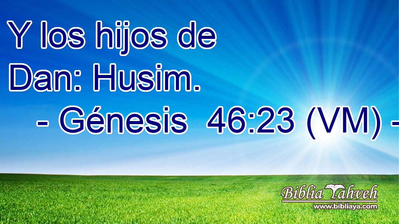  Y los hijos de Dan: Husim. 