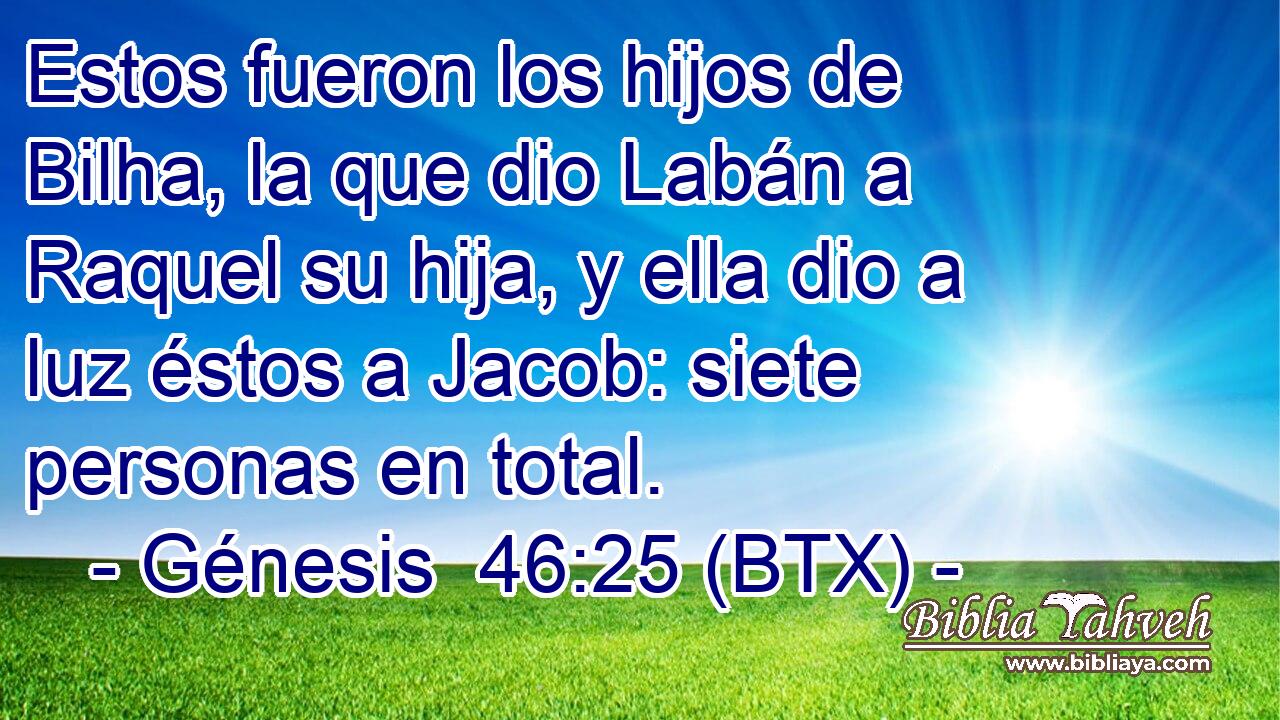 Estos fueron los hijos de Bilha, la que dio Labán a Raquel su hija, y ella dio a luz éstos a Jacob: siete personas en total.
