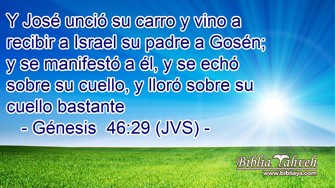 Y José unció su carro y vino a recibir a Israel su padre a Gosén; y se manifestó a él, y se echó sobre su cuello, y lloró sobre su cuello bastante