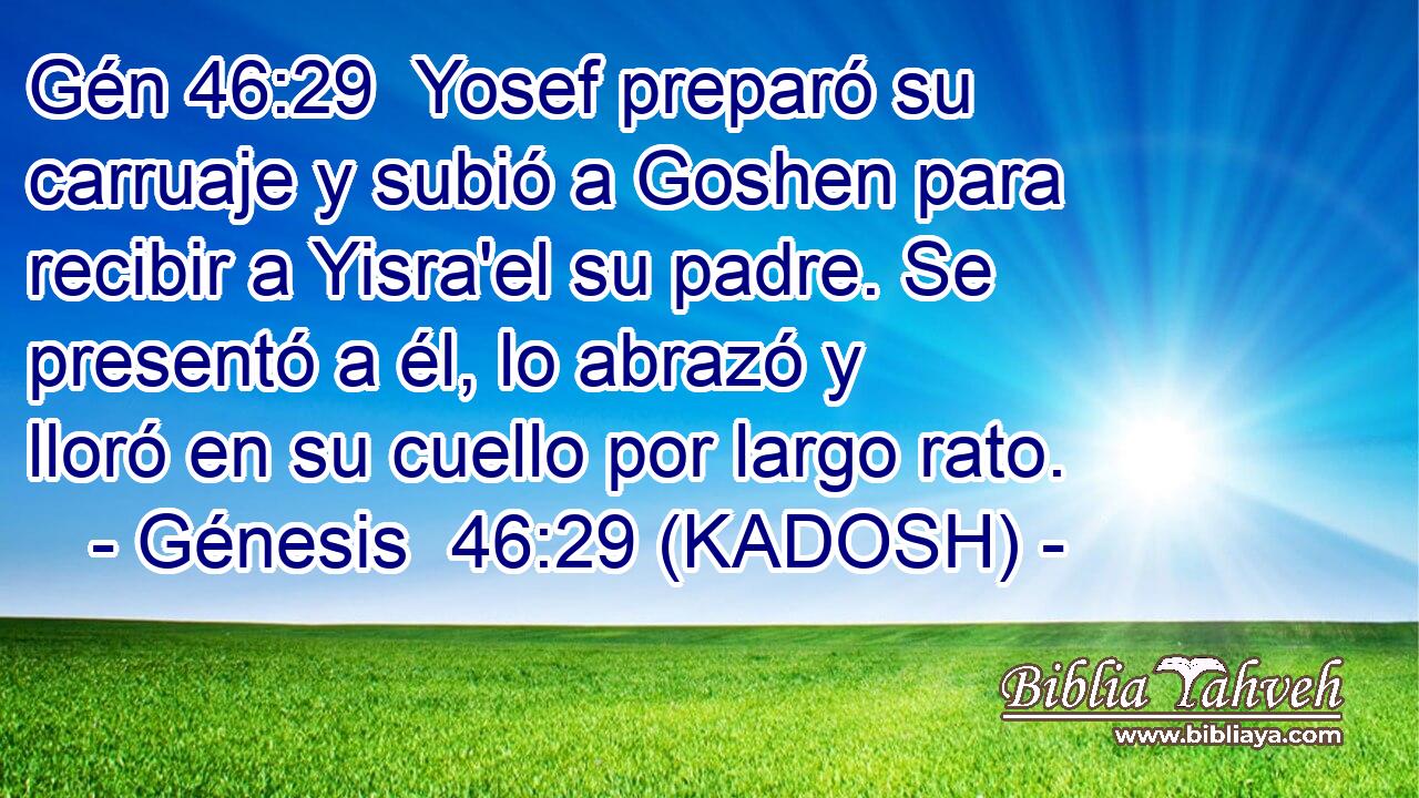  Yosef preparó su carruaje y subió a Goshen para recibir a Yisra'el su padre. Se presentó a él, lo abrazó y lloró en su cuello por largo rato. 