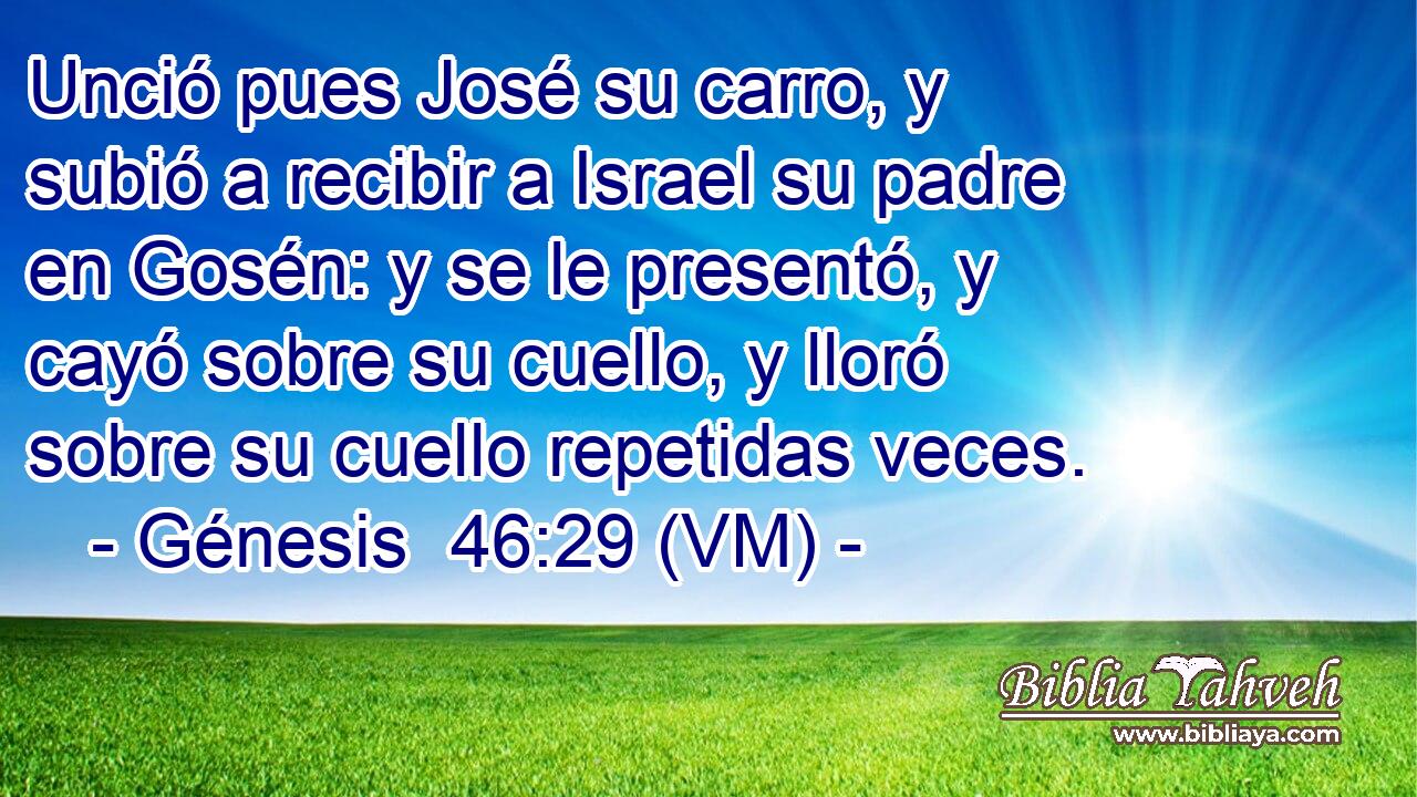  Unció pues José su carro, y subió a recibir a Israel su padre en Gosén: y se le presentó, y cayó sobre su cuello, y lloró sobre su cuello repetidas veces. 