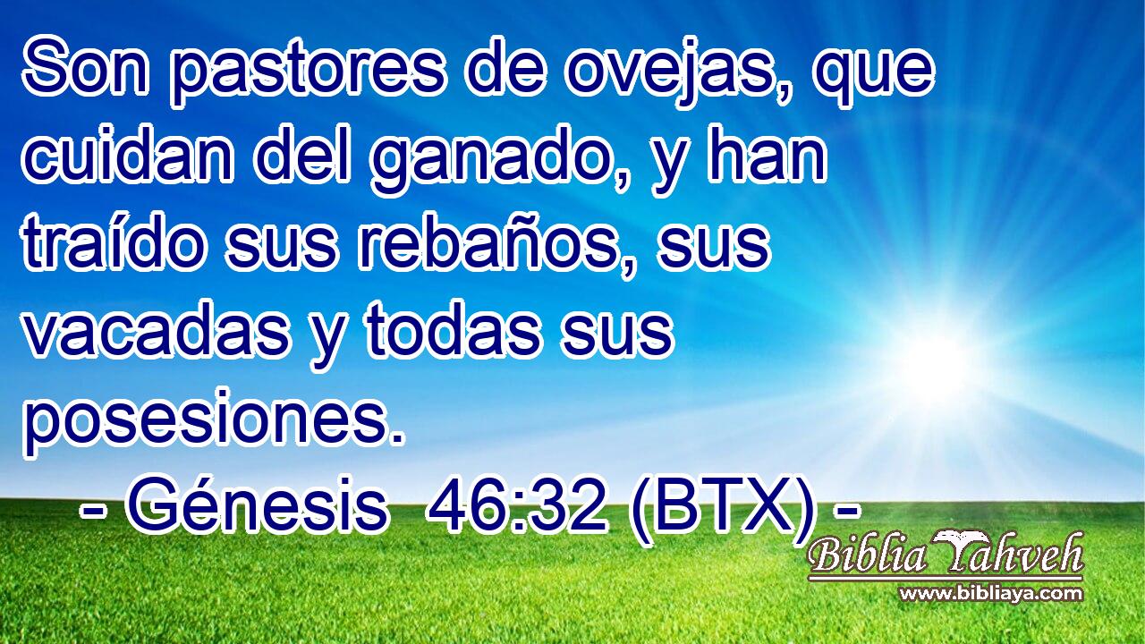 Son pastores de ovejas, que cuidan del ganado, y han traído sus rebaños, sus vacadas y todas sus posesiones.