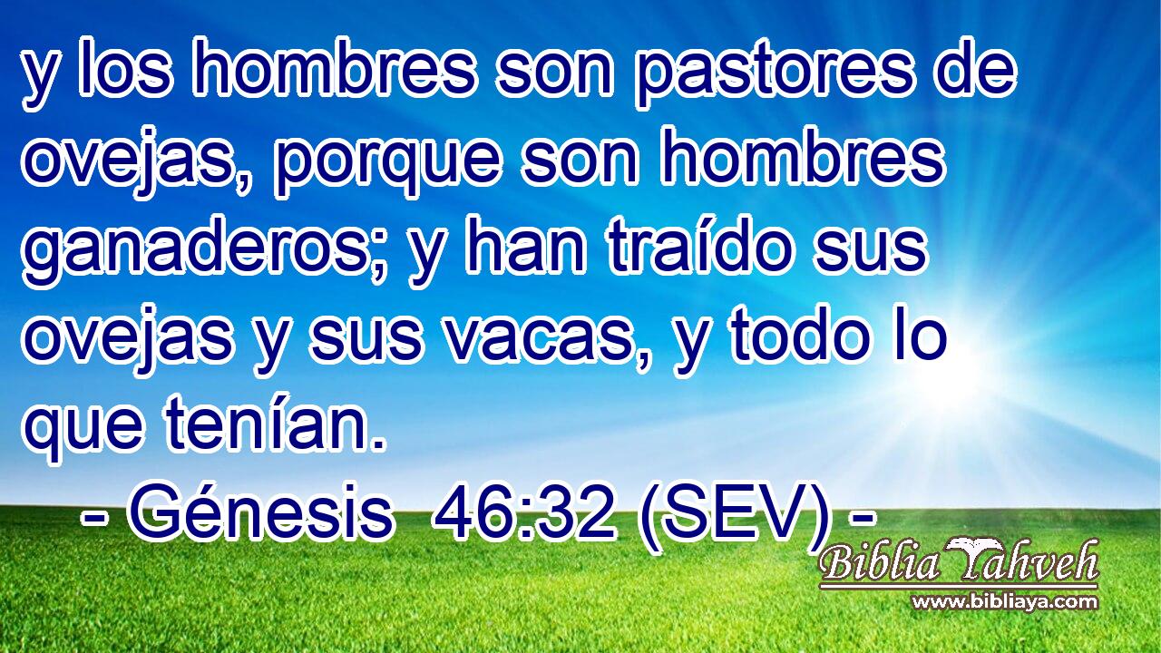 y los hombres son pastores de ovejas, porque son hombres ganaderos; y han traído sus ovejas y sus vacas, y todo lo que tenían.