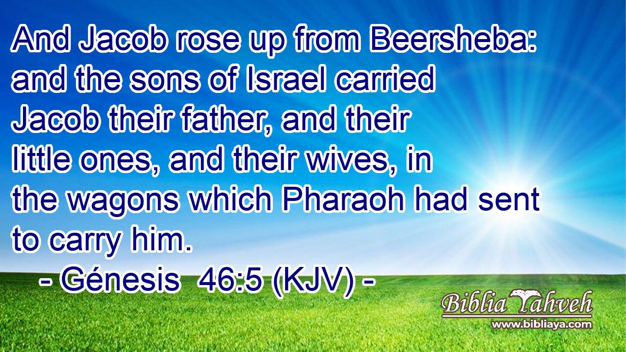 And Jacob rose up from Beersheba: and the sons of Israel carried Jacob their father, and their little ones, and their wives, in the wagons which Pharaoh had sent to carry him.