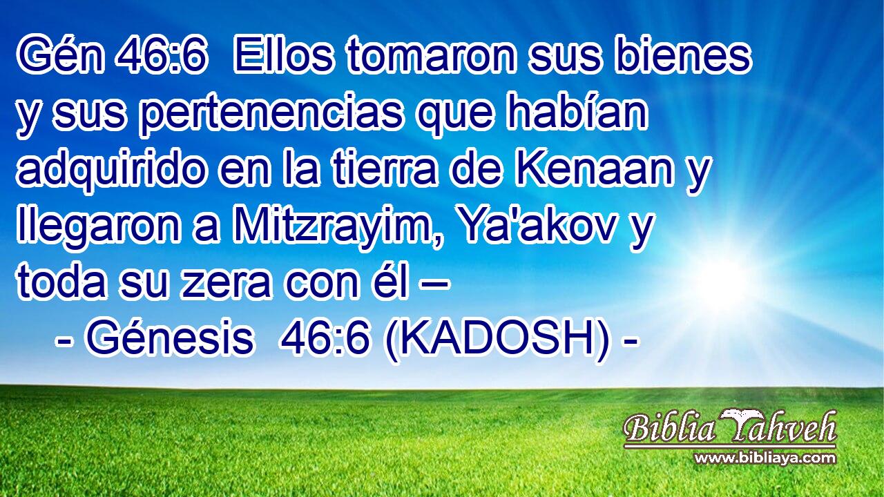  Ellos tomaron sus bienes y sus pertenencias que habían adquirido en la tierra de Kenaan y llegaron a Mitzrayim, Ya'akov y toda su zera con él – 