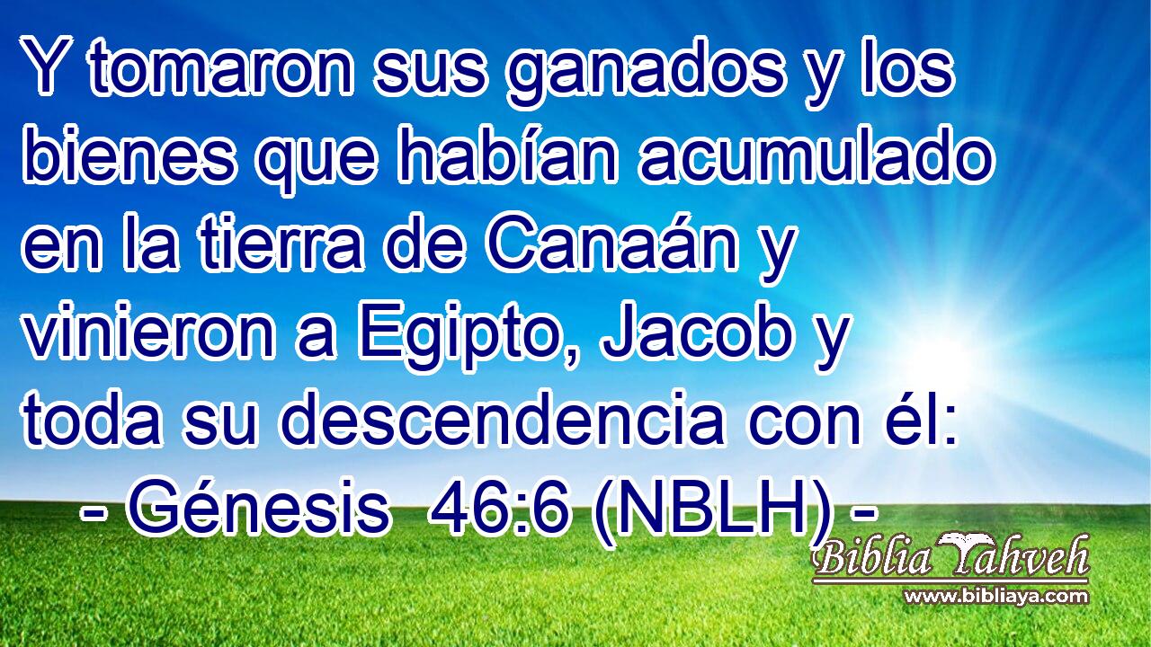  Y tomaron sus ganados y los bienes que habían acumulado en la tierra de Canaán y vinieron a Egipto, Jacob y toda su descendencia con él: 