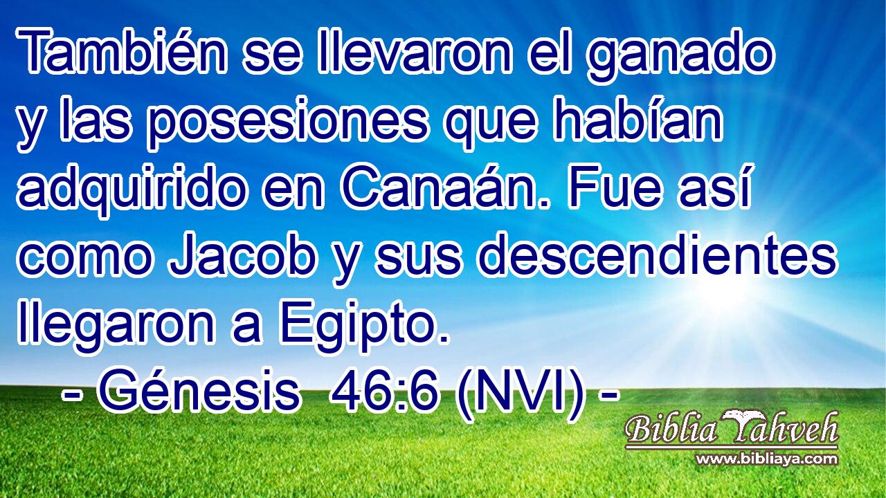  También se llevaron el ganado y las posesiones que habían adquirido en Canaán. Fue así como Jacob y sus descendientes llegaron a Egipto. 