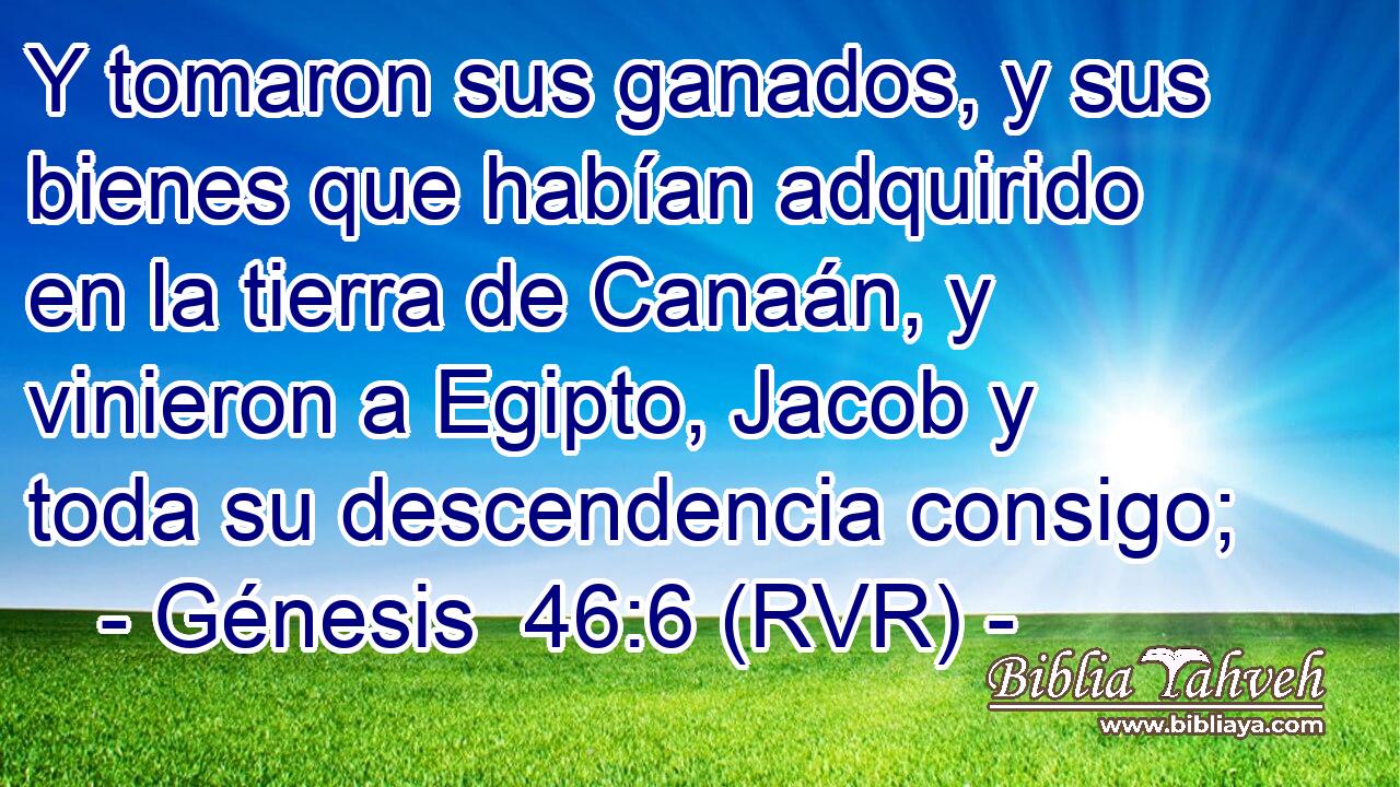 Y tomaron sus ganados, y sus bienes que habían adquirido en la tierra de Canaán, y vinieron a Egipto, Jacob y toda su descendencia consigo;