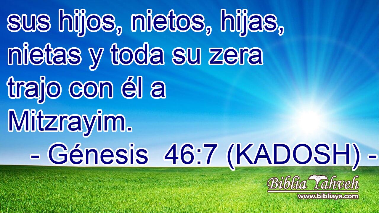  sus hijos, nietos, hijas, nietas y toda su zera trajo con él a Mitzrayim. 