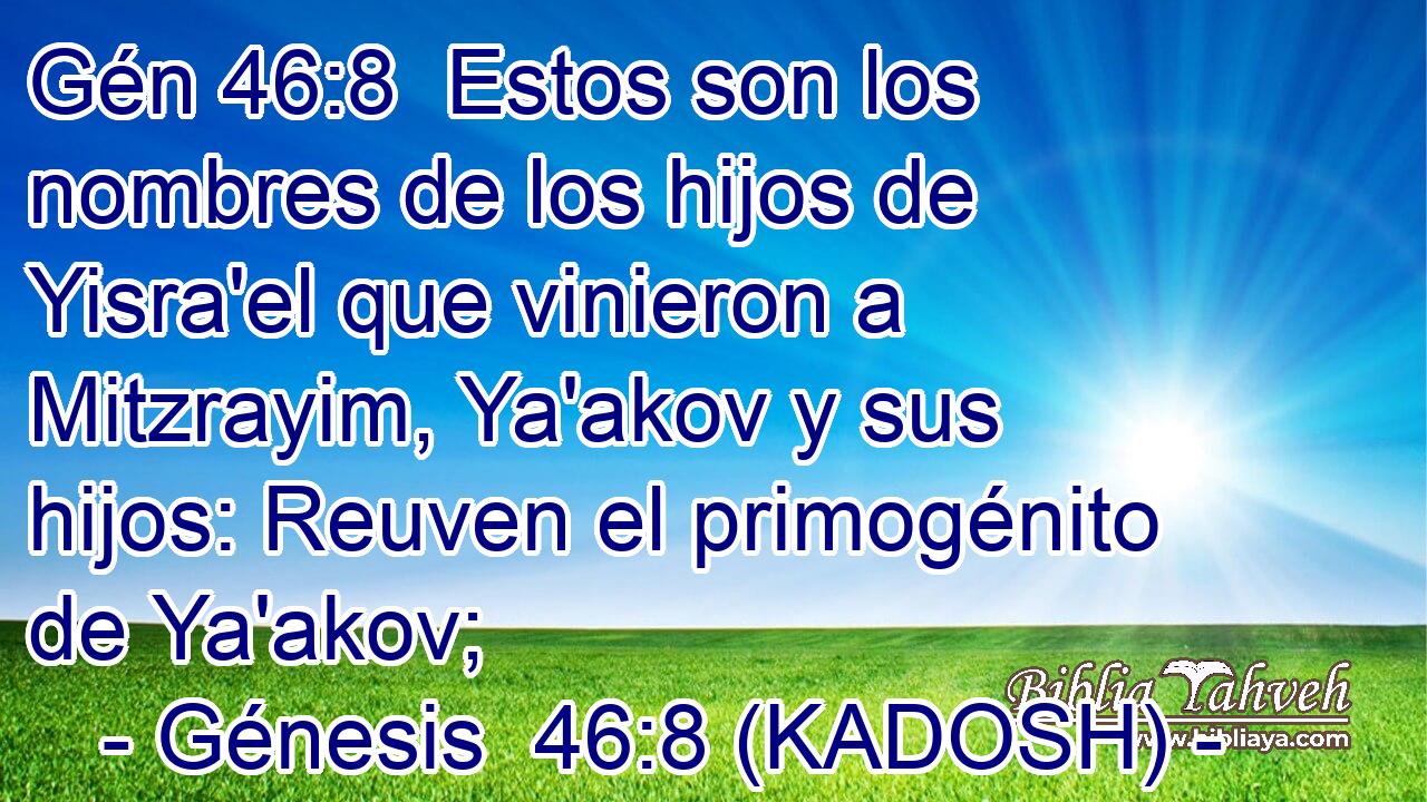  Estos son los nombres de los hijos de Yisra'el que vinieron a Mitzrayim, Ya'akov y sus hijos: Reuven el primogénito de Ya'akov; 