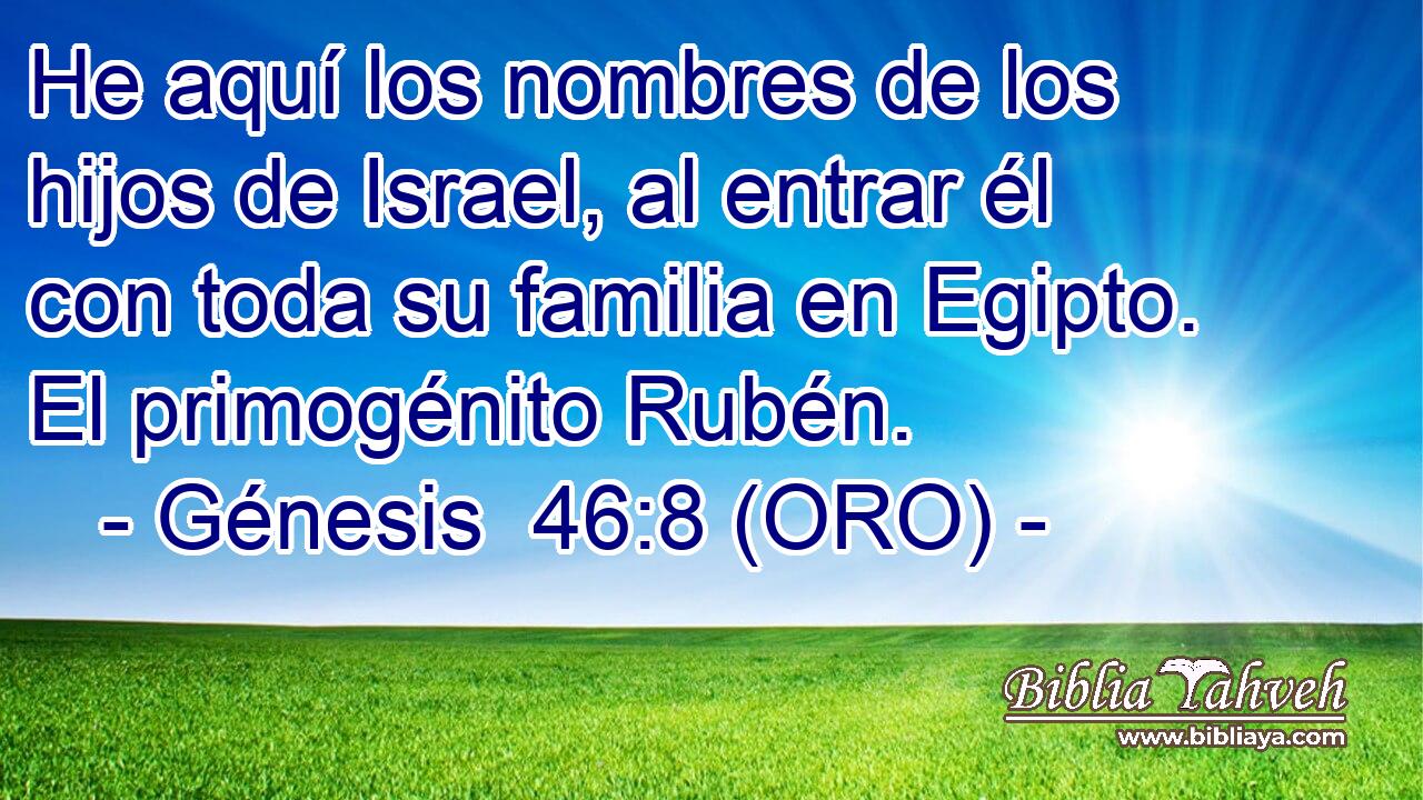  He aquí los nombres de los hijos de Israel, al entrar él con toda su familia en Egipto. El primogénito Rubén. 