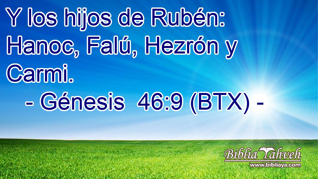 Y los hijos de Rubén: Hanoc, Falú, Hezrón y Carmi.