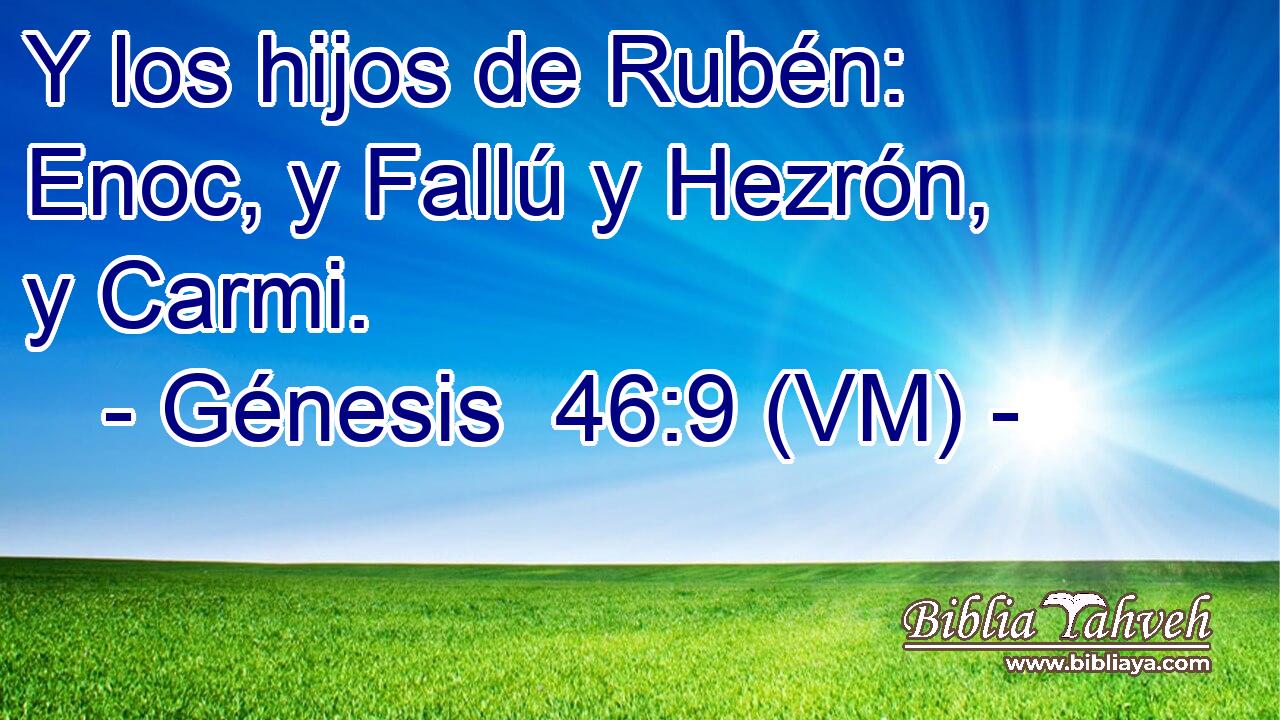  Y los hijos de Rubén: Enoc, y Fallú y Hezrón, y Carmi. 